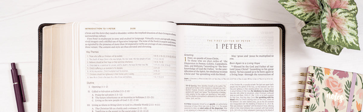 Summary of the Book of 1 Peter