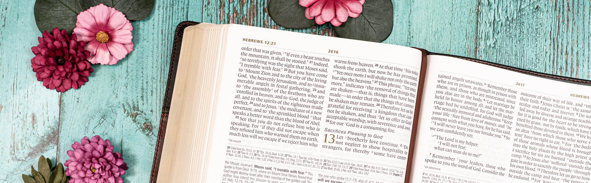Open book on a teal surface with pink flowers and green leaves