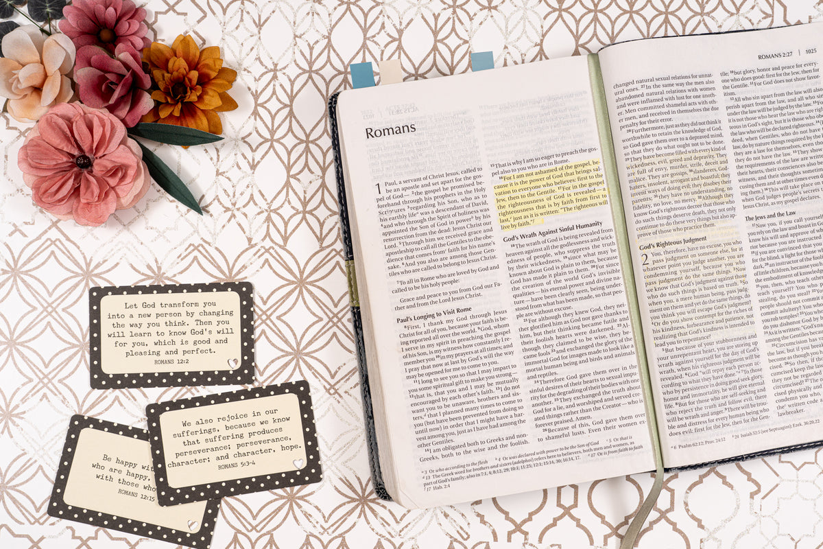 Bible open to Romans on a patterned background